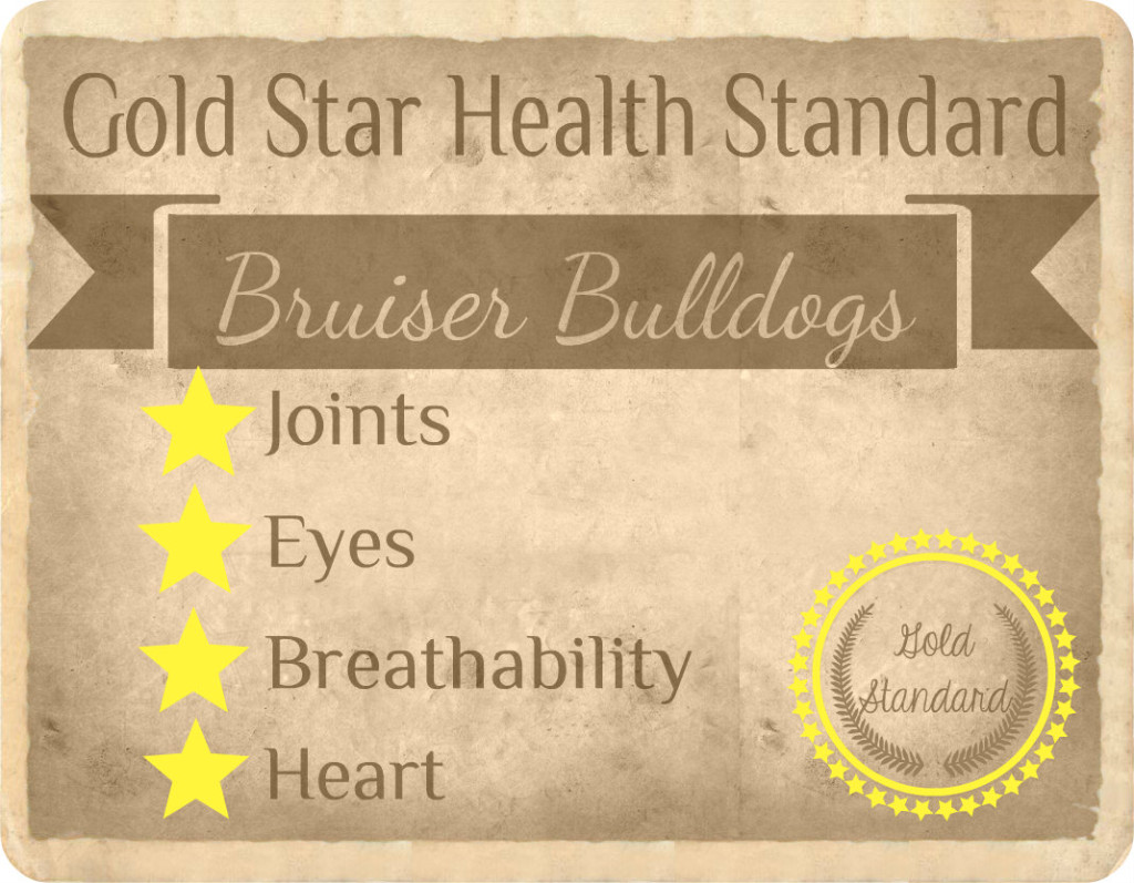 Bruiser Bulldogs - Gold Star Health Standard