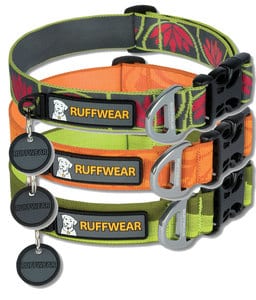 English Bulldog Collar vs Harness IBruiser Bulldogs