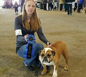 Healthy show dog breed standards