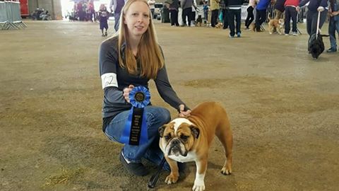 Healthy show dog breed standards