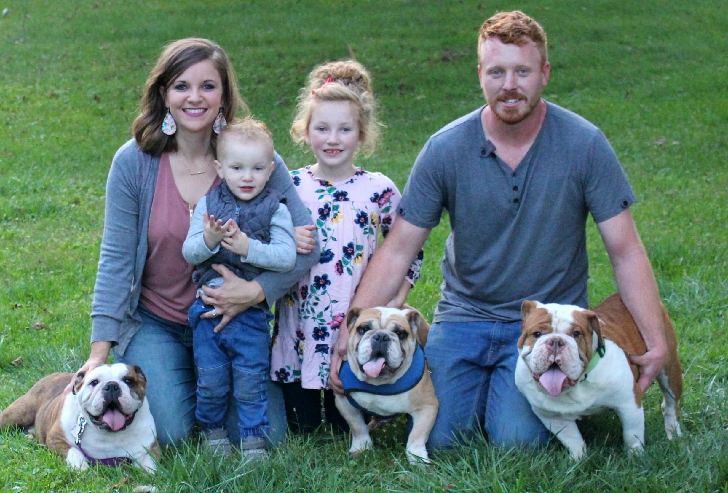 english bulldog breeders