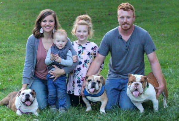 Missouri English Bulldog Puppies for Sale