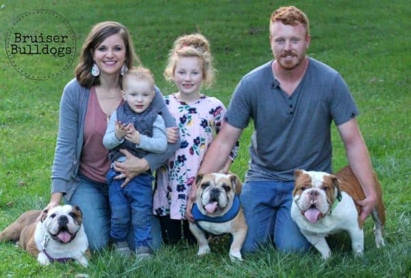 English Bulldog Puppies 