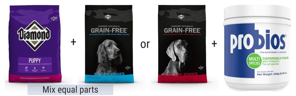 best dog food for English Bulldogs