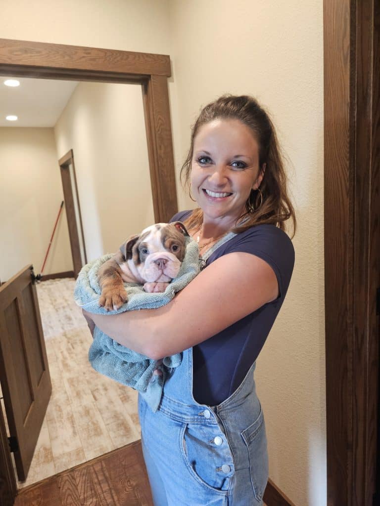 California English Bulldog Breeders